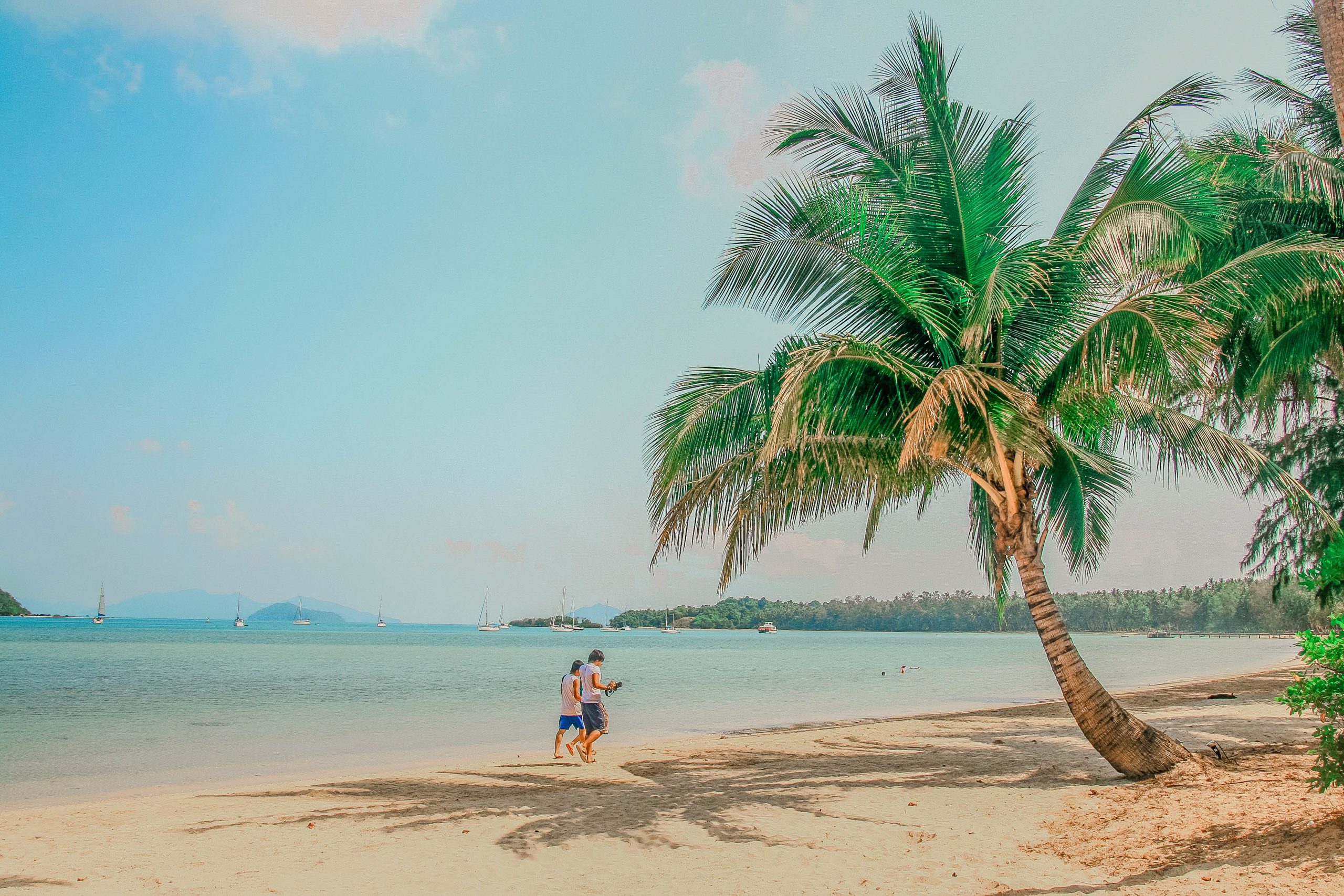 walking-on-the-beach-2026-01-08-00-00-22-utc