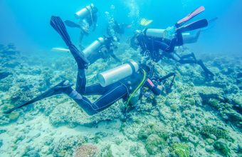 diver-underwater-2026-01-11-10-34-14-utc